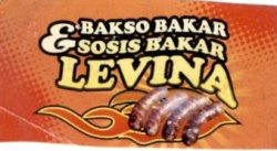 Trademark LEVINA