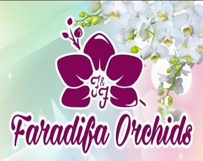 Trademark Faradifa Orchids