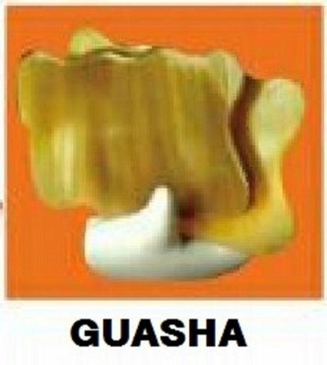 Trademark GUASHA