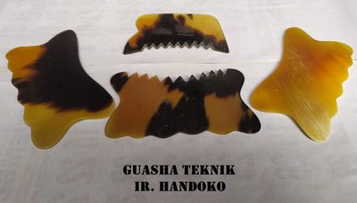 Trademark GUASHA TEKNIK IR. HANDOKO