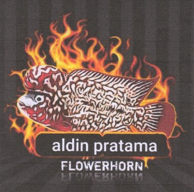 Trademark ALDIN PRATAMA FLOWERHORN