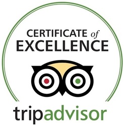 Trademark CERTIFICATE OF EXCELLENCE TRIPADVISOR