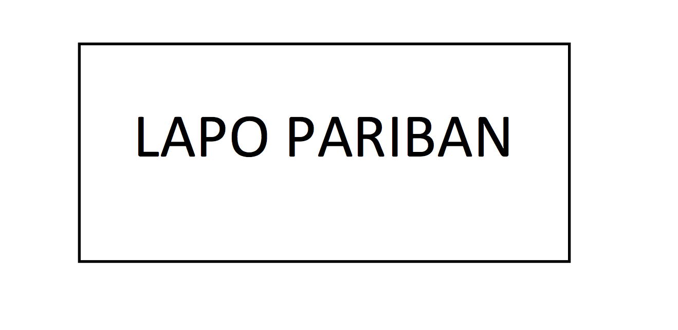 Trademark LAPO PARIBAN