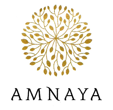 Trademark AMNAYA