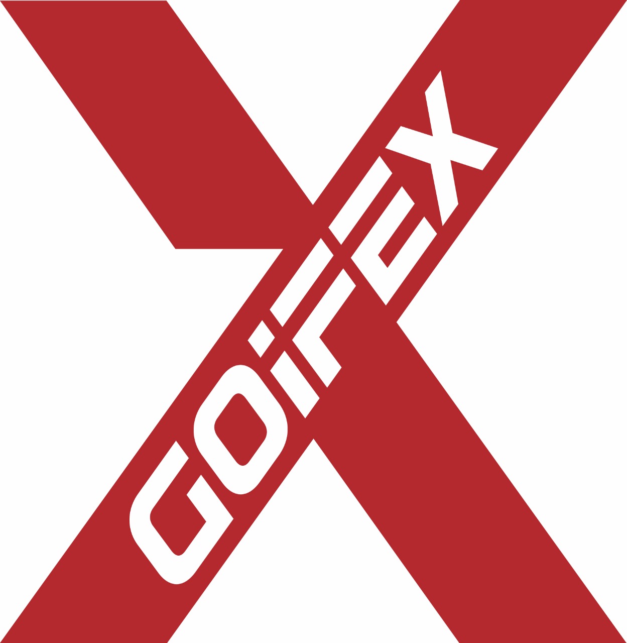 Trademark GOIFEX + LOGO