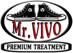 Trademark MR. VIVO