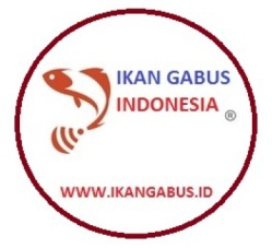 Trademark IKAN GABUS INDONESIA