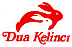 Trademark DUA KELINCI