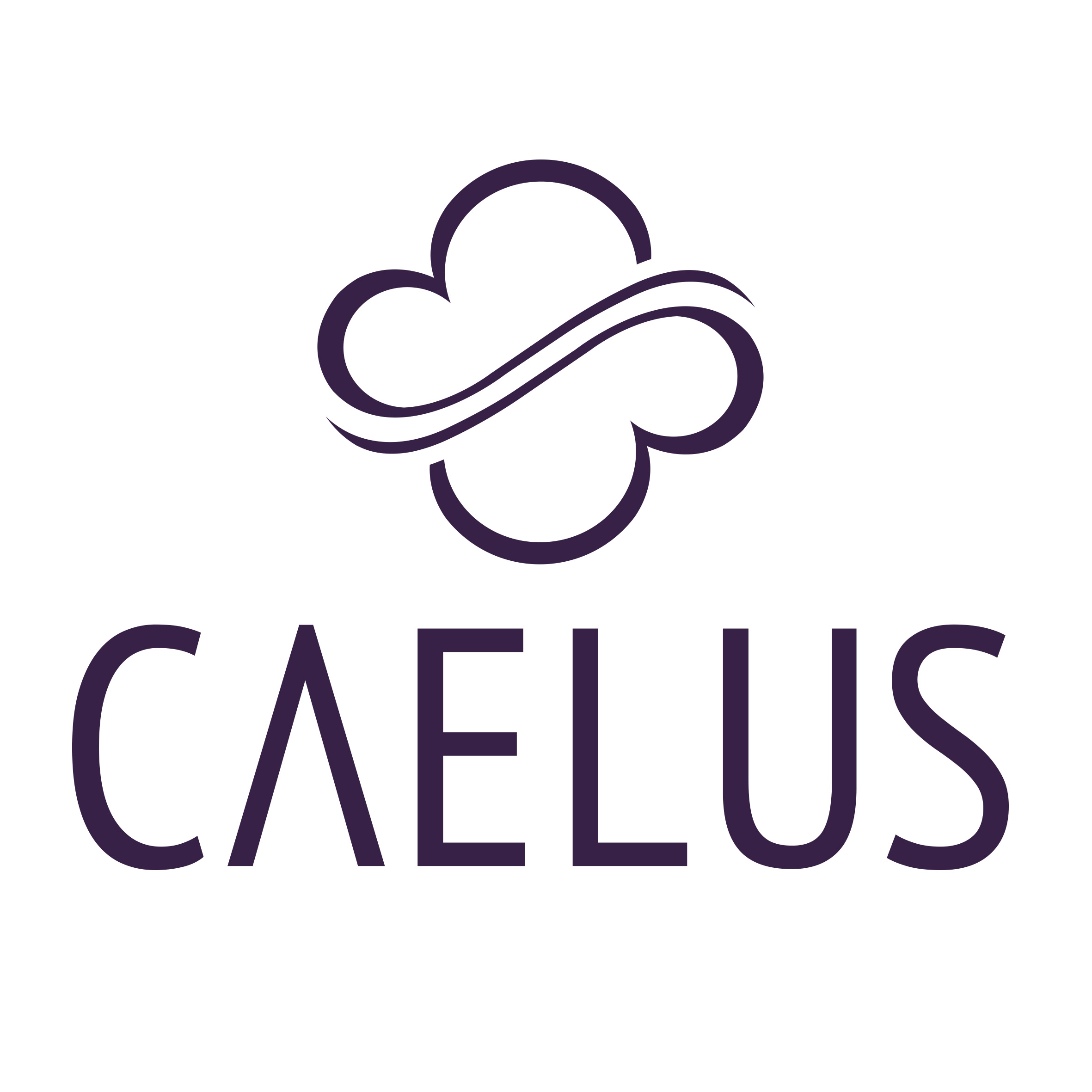 Trademark CAELUS + Lukisan/Logo