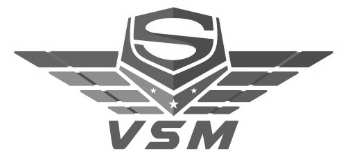 Trademark VSM DAN LOGO