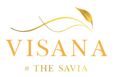 Trademark VISANA + Lukisan/Logo