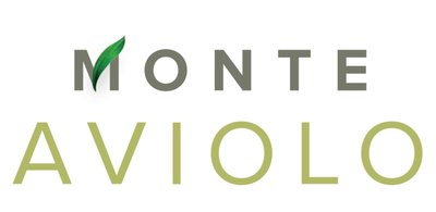 Trademark MONTE AVIOLO + Lukisan/Logo