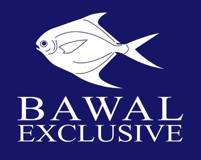 Trademark BAWAL EXCLUSIVE + Logo