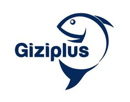 Trademark GIZIPLUS