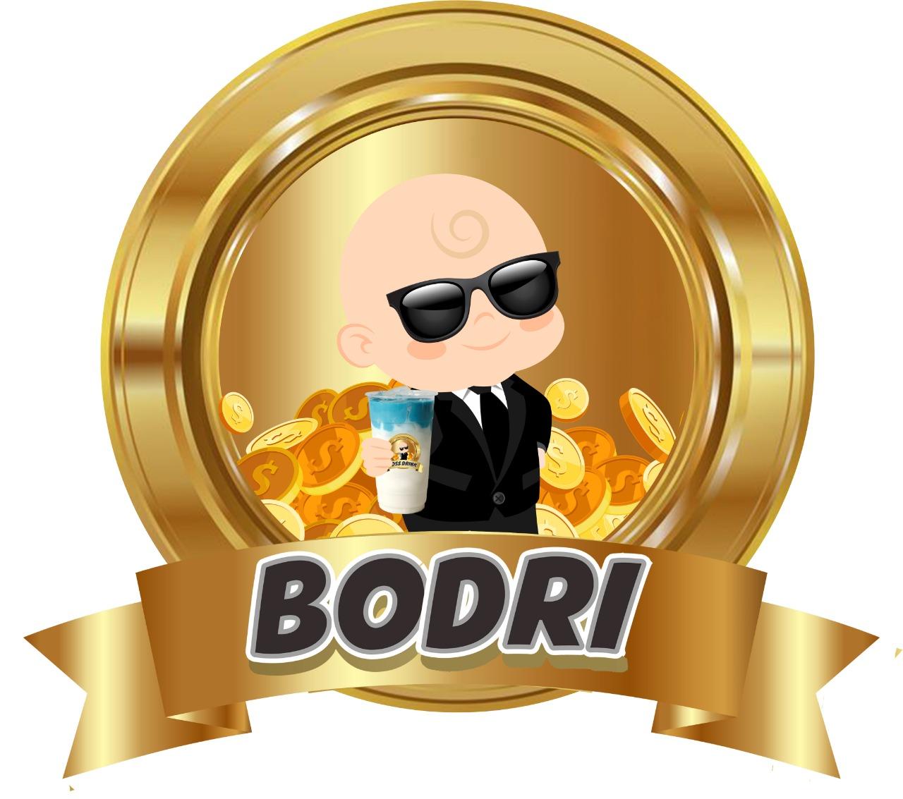 Trademark BODRI