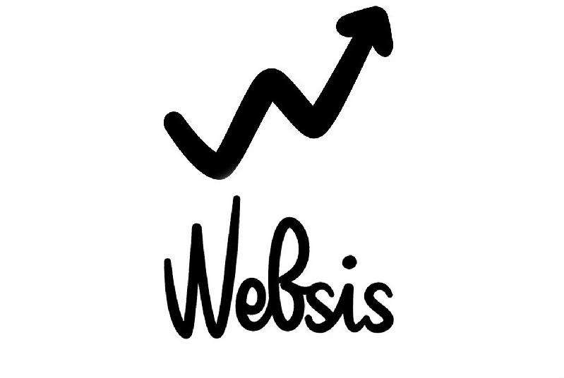 Trademark WEBSIS + Logo