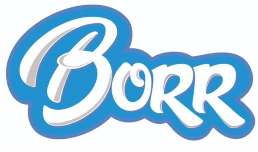 Trademark BORR