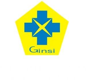 Trademark Ginsi