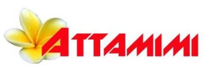 Trademark ATTAMIMI