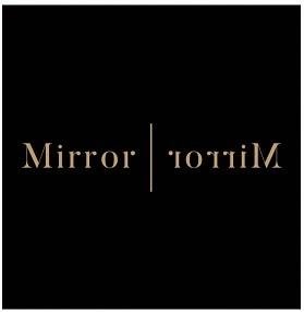 Trademark MIRROR MIRROR + LOGO