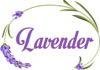 Trademark LAVENDER THE PURPLE DAN LOGO