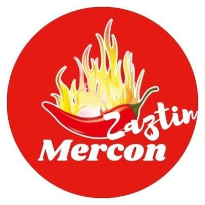 Trademark MERCON ZAZTIN & LOGO