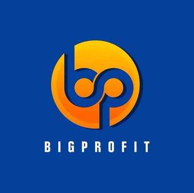 Trademark BP BIGPROFIT