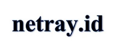 Trademark netray.id