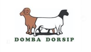 Trademark DOMBA DORSIP