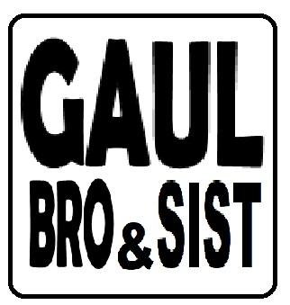 Trademark GAUL BRO & SIST