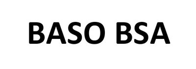 Trademark BASO BSA