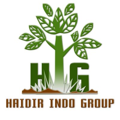 Trademark HAIDIR INDO GROUP