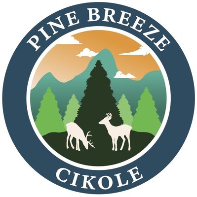 Trademark PINE BREEZE