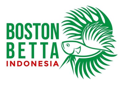 Trademark BOSTON BETTA