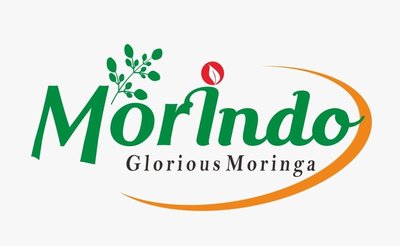 Trademark MORINDO GLORIOUS MORINGA + LUKISAN/LOGO