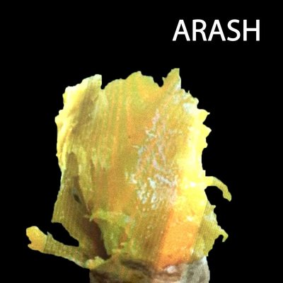 Trademark ARASH