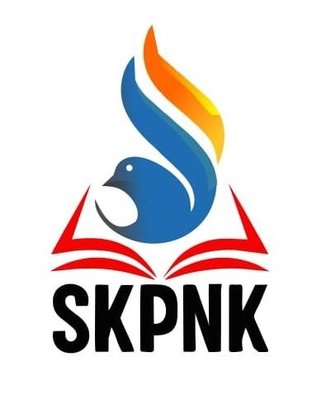 Trademark SKPNK + LOGO