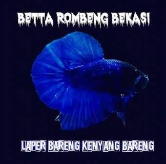 Trademark BETTA ROMBENG BEKASI