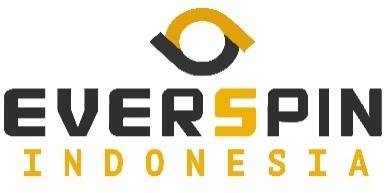 Trademark EVERSPIN INDONESIA (EVERSPIN CYBERSECURITY INDONESIA)