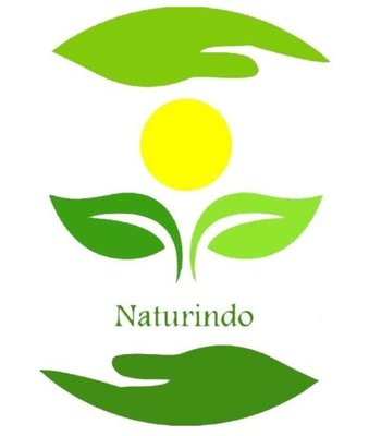 Trademark NATURINDO + LOGO