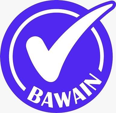 Trademark BAWAIN + Logo