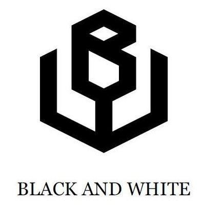 Trademark BLACK AND WHITE + LOGO