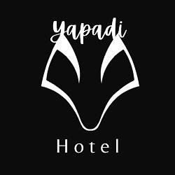 Trademark YAPADI