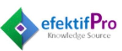 Trademark EFEKTIFPRO