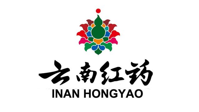 Trademark INAN HONGYAO