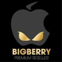 Trademark BIGBERRY