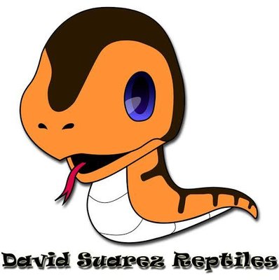 Trademark David Suarez Reptiles