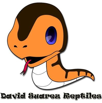 Trademark David Suarez Reptiles