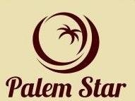 Trademark PALEM STAR DAN LOGO
