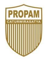 Trademark PROPAM DAN LUKISAN